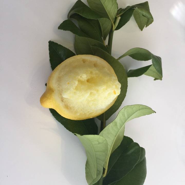 Pez limón y medio limón - Quique Dacosta Restaurante